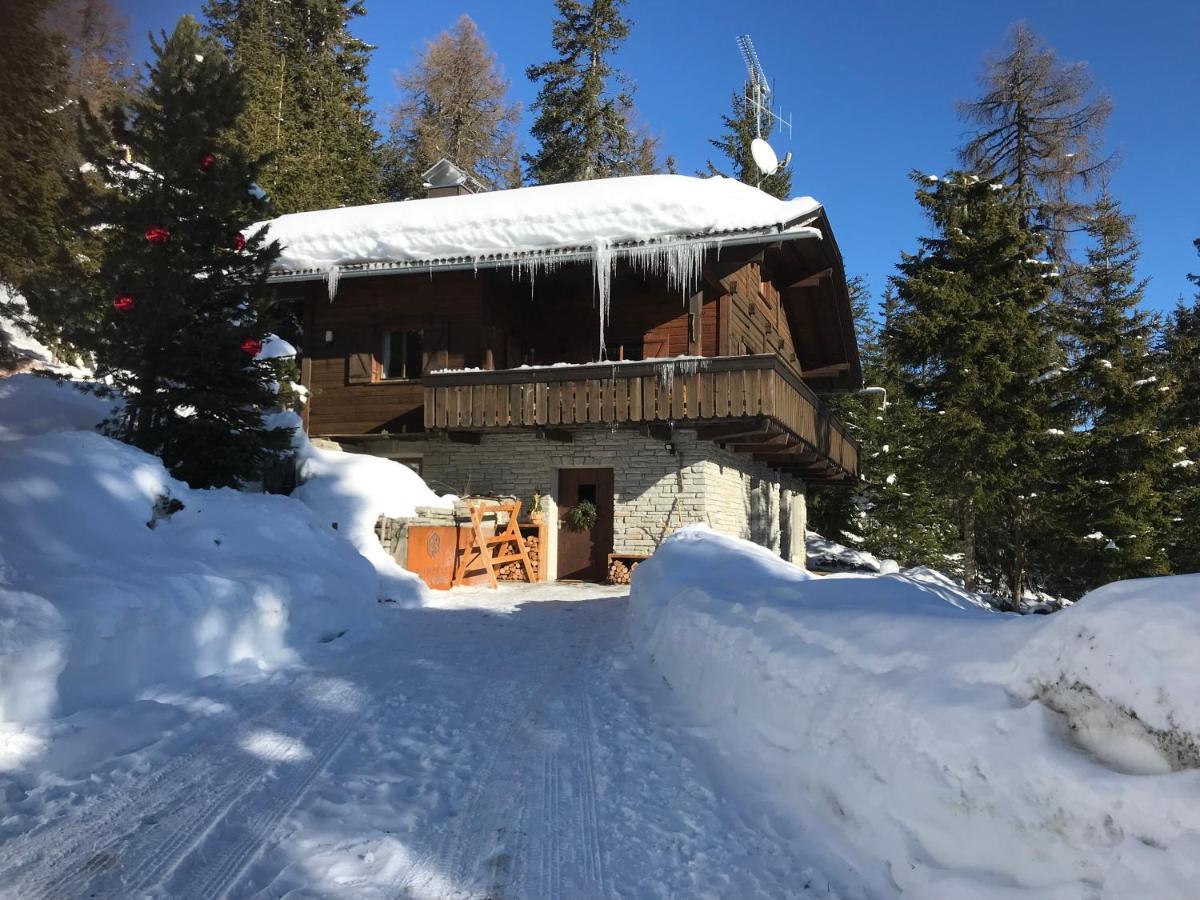 Kronplatz Ski Lodge Olang Exterior foto