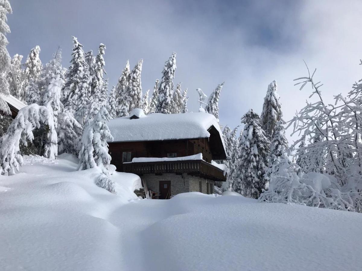 Kronplatz Ski Lodge Olang Exterior foto